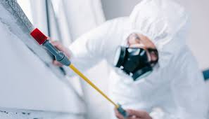 Best Pest Prevention Services  in Honolulu, HI